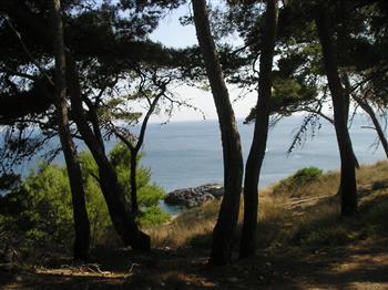 (Giorgio e Mirella)